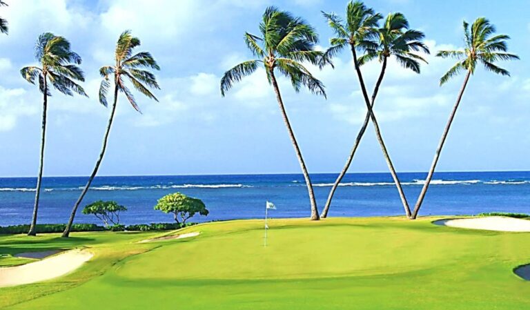 Sony Open 2024